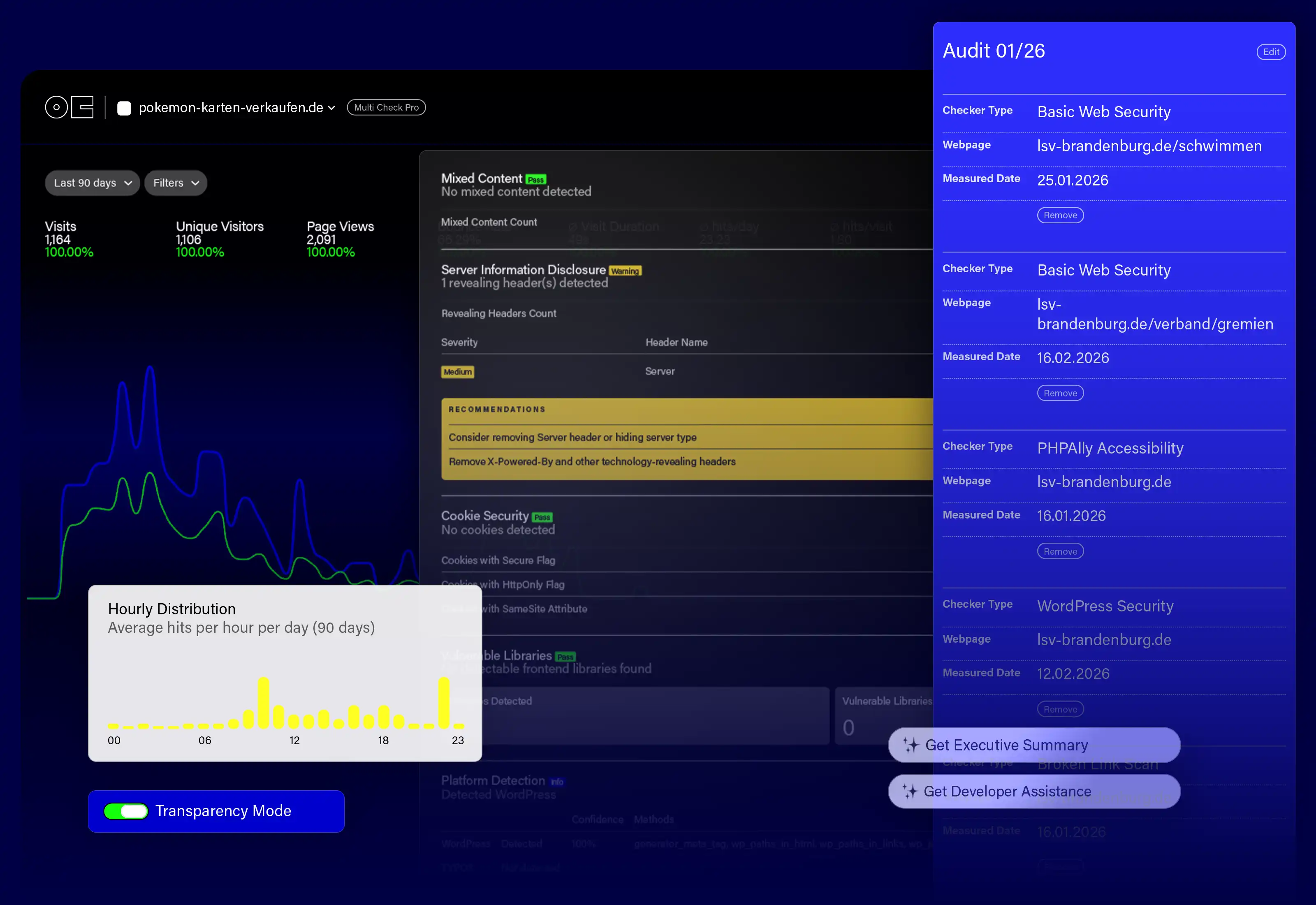 Prelumen Analytics audit view with website metrics, security checks, and recommendations.